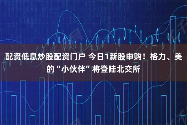 配资低息炒股配资门户 今日1新股申购！格力、美的“小伙伴”将登陆北交所