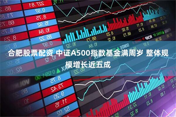 合肥股票配资 中证A500指数基金满周岁 整体规模增长近五成